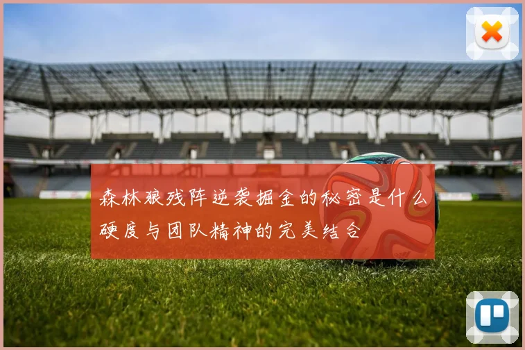 森林狼残阵逆袭掘金的秘密是什么硬度与团队精神的完美结合